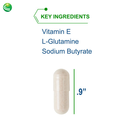 Nutra BioGenesis - Intestinal Repair Capsules - Vitamin E, L-Glutamine and Sodium Butyrate to Help Support Gut and Intestinal Health - Gluten Free - 120 Capsules