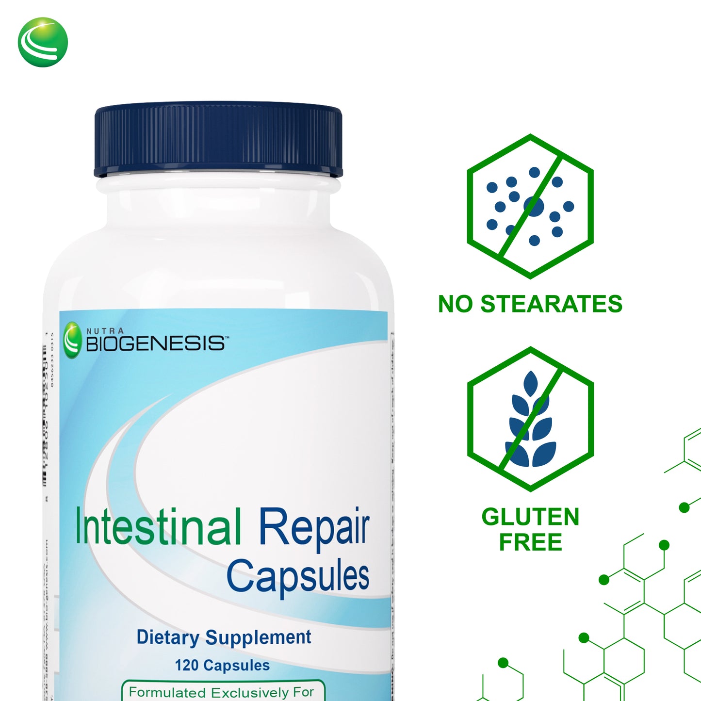 Nutra BioGenesis - Intestinal Repair Capsules - Vitamin E, L-Glutamine and Sodium Butyrate to Help Support Gut and Intestinal Health - Gluten Free - 120 Capsules