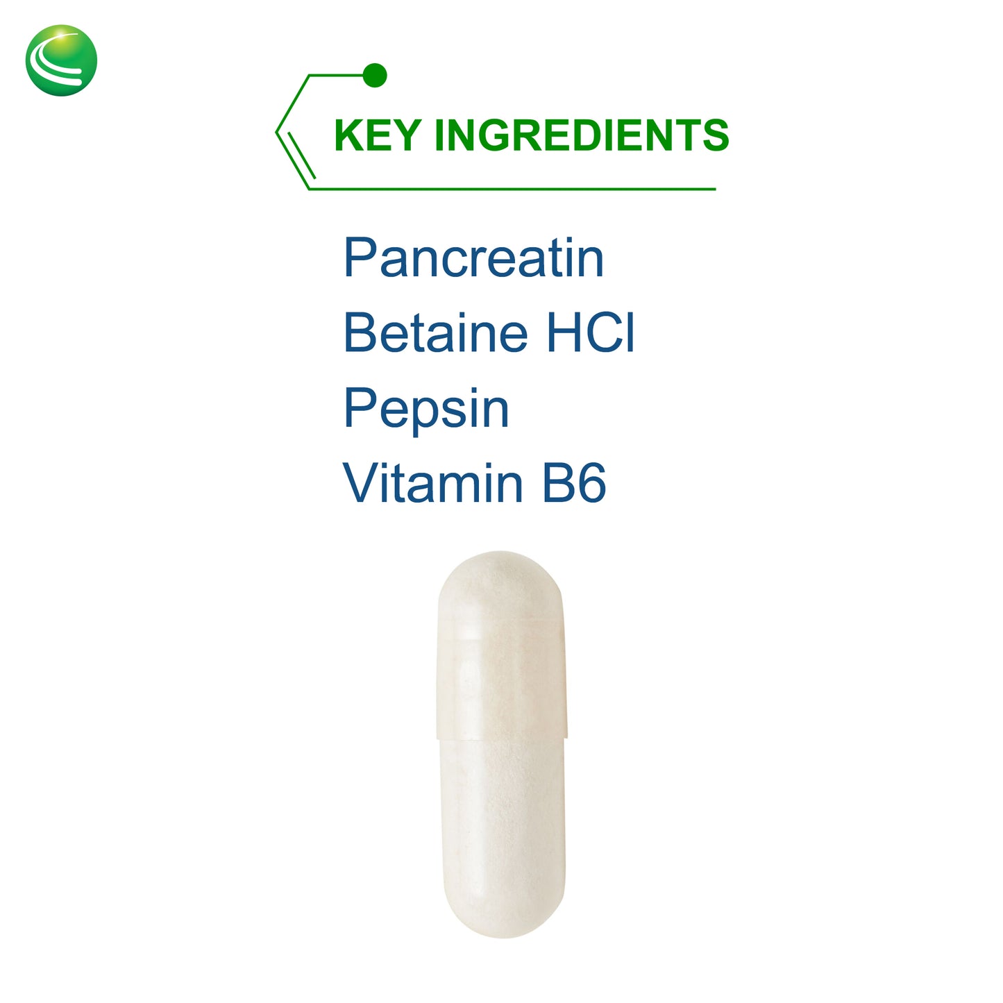 Nutra BioGenesis - PanZyme - B Vitamins, Betanine HCl, and Pancreatin as Digestive Enzymes for Digestive Health - 180 Capsules