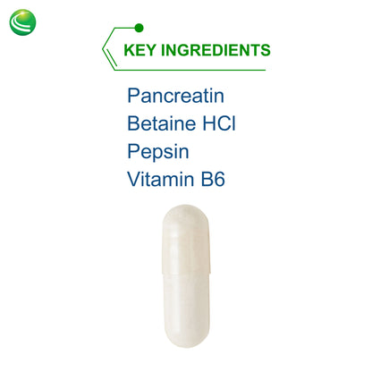 Nutra BioGenesis - PanZyme - B Vitamins, Betanine HCl, and Pancreatin as Digestive Enzymes for Digestive Health - 180 Capsules