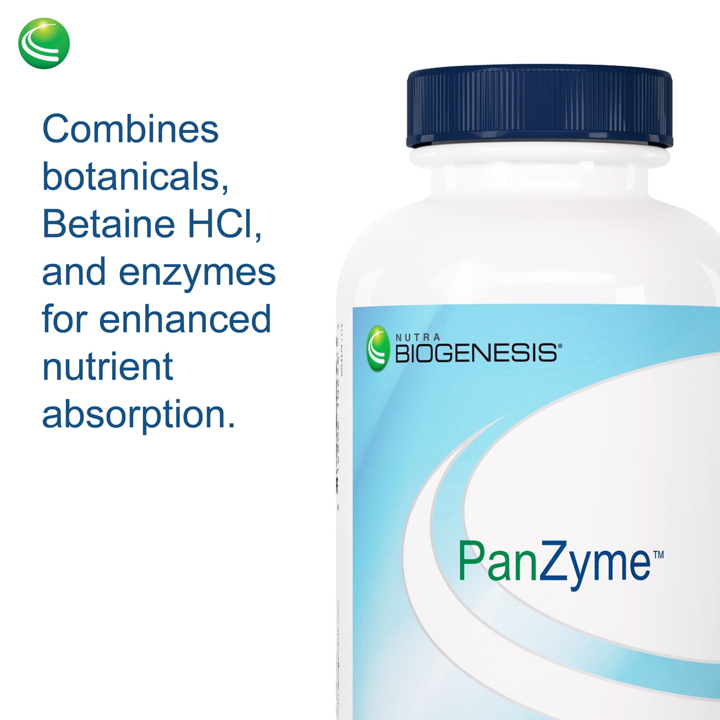 Nutra BioGenesis - PanZyme - B Vitamins, Betanine HCl, and Pancreatin as Digestive Enzymes for Digestive Health - 180 Capsules