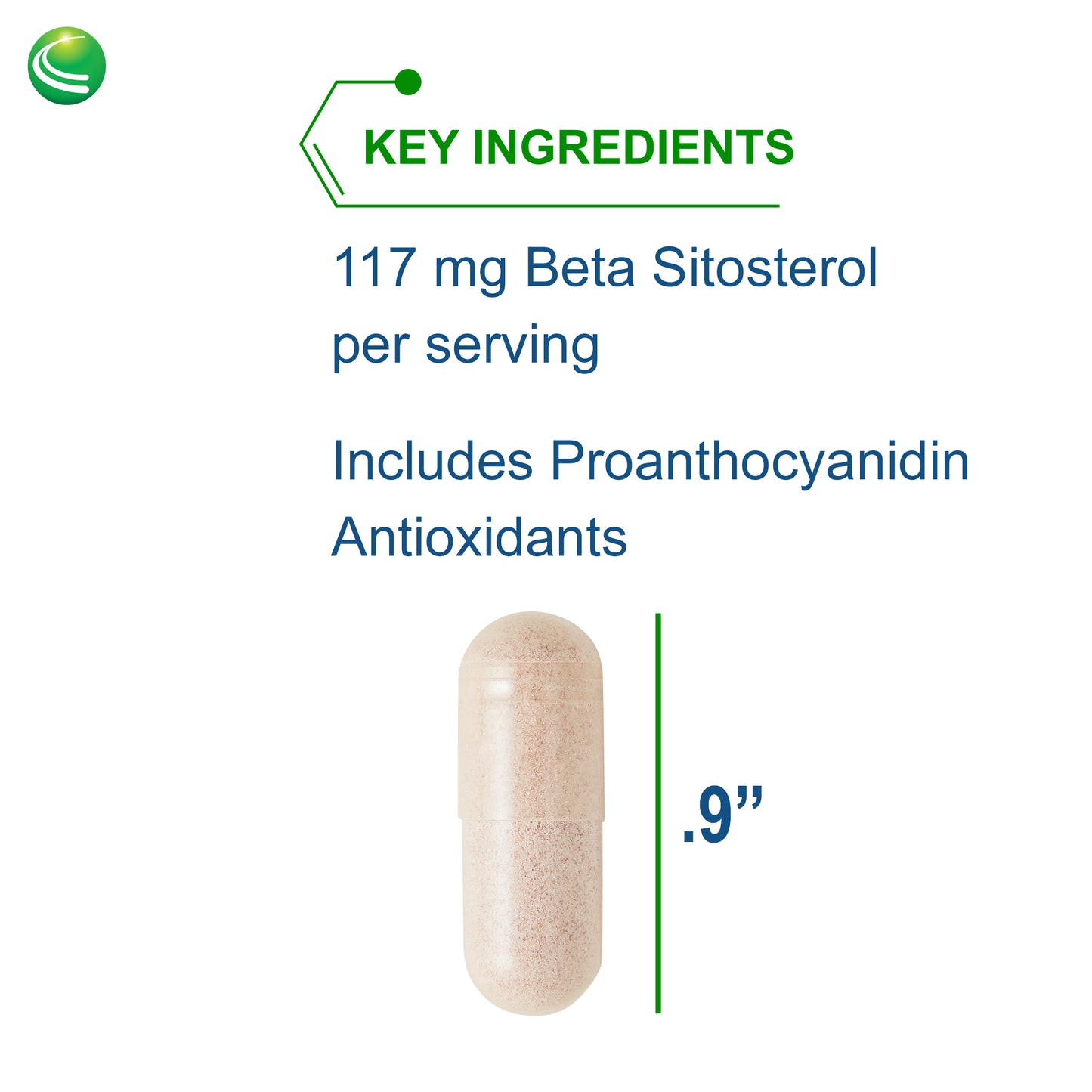Nutra BioGenesis - Sterol 117 - Plant Sterols and Pine Bark Extract to Help Support Immunity, Urinary Tract Health and Cholesterol Already Within Normal Range - 60 Capsules