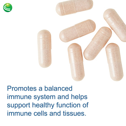 Nutra BioGenesis - Sterol 117 - Plant Sterols and Pine Bark Extract to Help Support Immunity, Urinary Tract Health and Cholesterol Already Within Normal Range - 60 Capsules