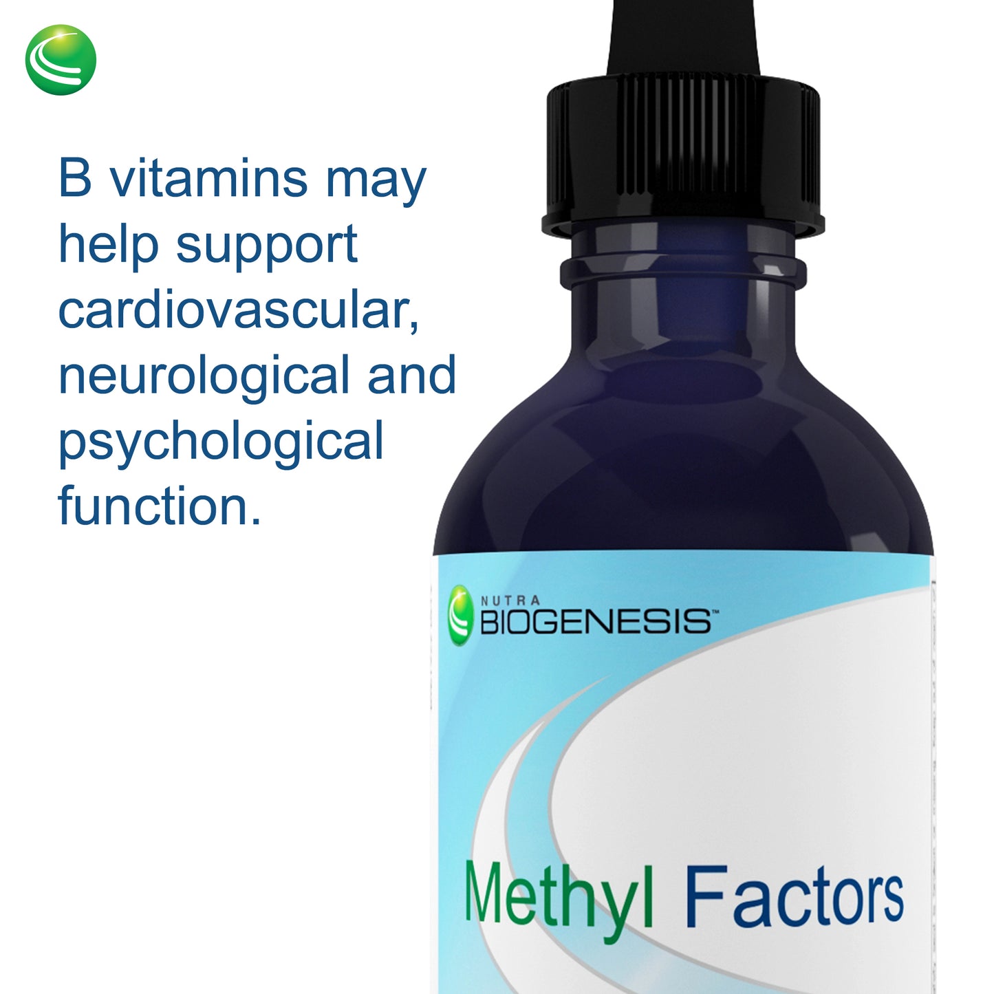 Nutra BioGenesis - Methyl Factors - B12 and Methyl Folate to Help Support Brain and Cardiovascular Health - Berry Flavor - 2 Ounce