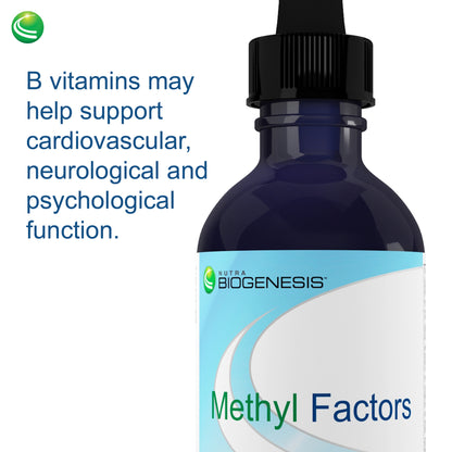 Nutra BioGenesis - Methyl Factors - B12 and Methyl Folate to Help Support Brain and Cardiovascular Health - Berry Flavor - 2 Ounce
