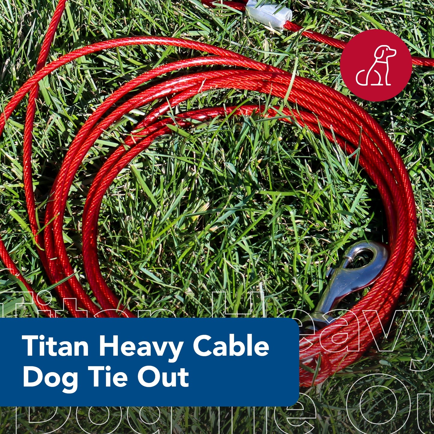 Coastal - Titan - Heavy Cable Dog Tie Out, Heavy, 30'