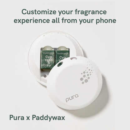 Pura and Paddywax - Fragrance for Smart Home Air Diffusers - Room Freshener - Aromatherapy Scents for Bedrooms & Living Rooms - Odor Eliminator - 2 Pack - Cypress & Fir