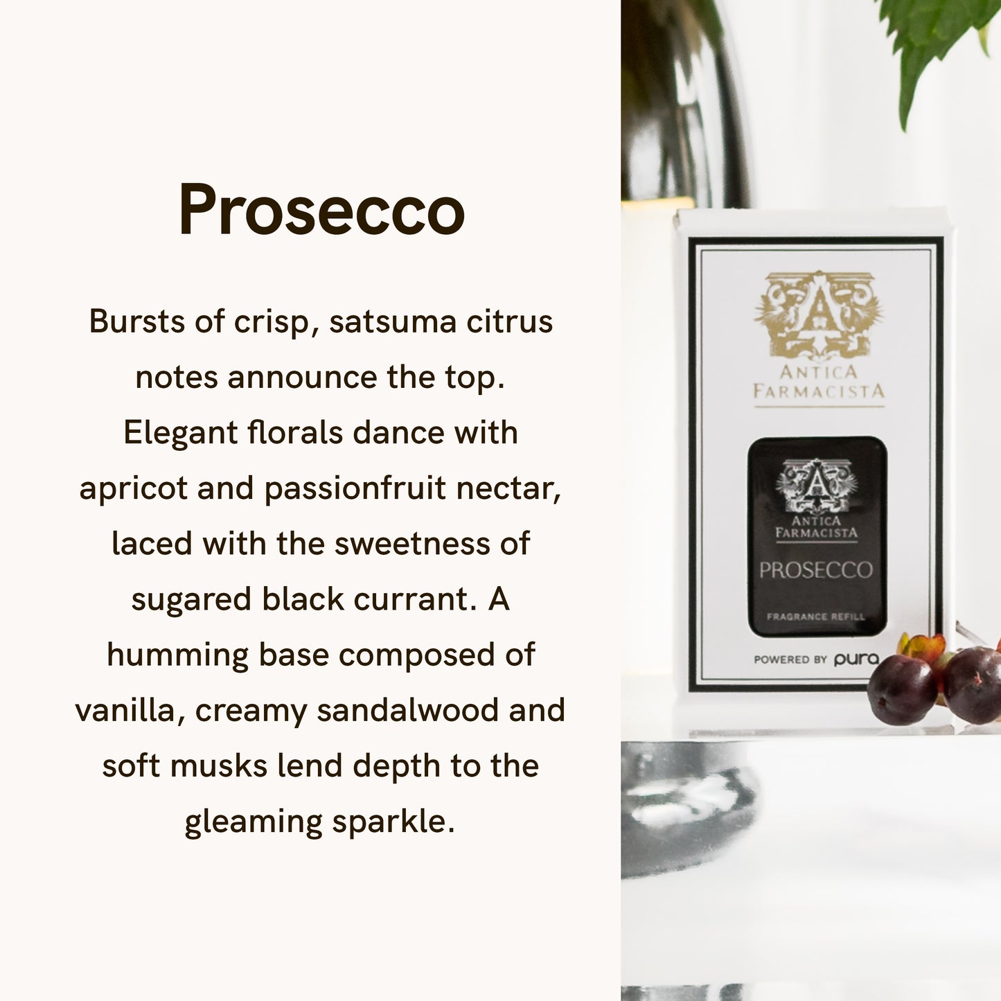 Pura - Home Fragrance Scent - Pura and Antica Farmacista - Prosecco