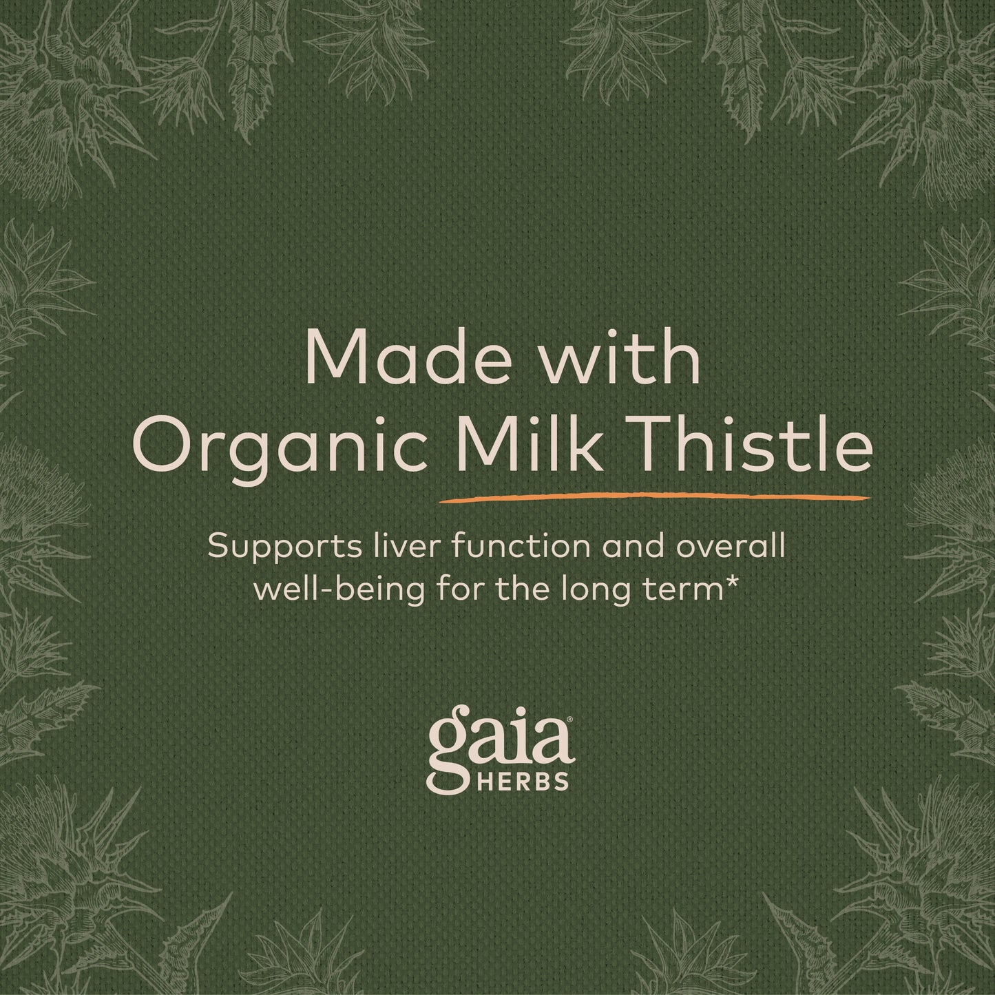 Gaia Herbs Milk Thistle Seed Liquid Phyto-Capsules, 60 Count