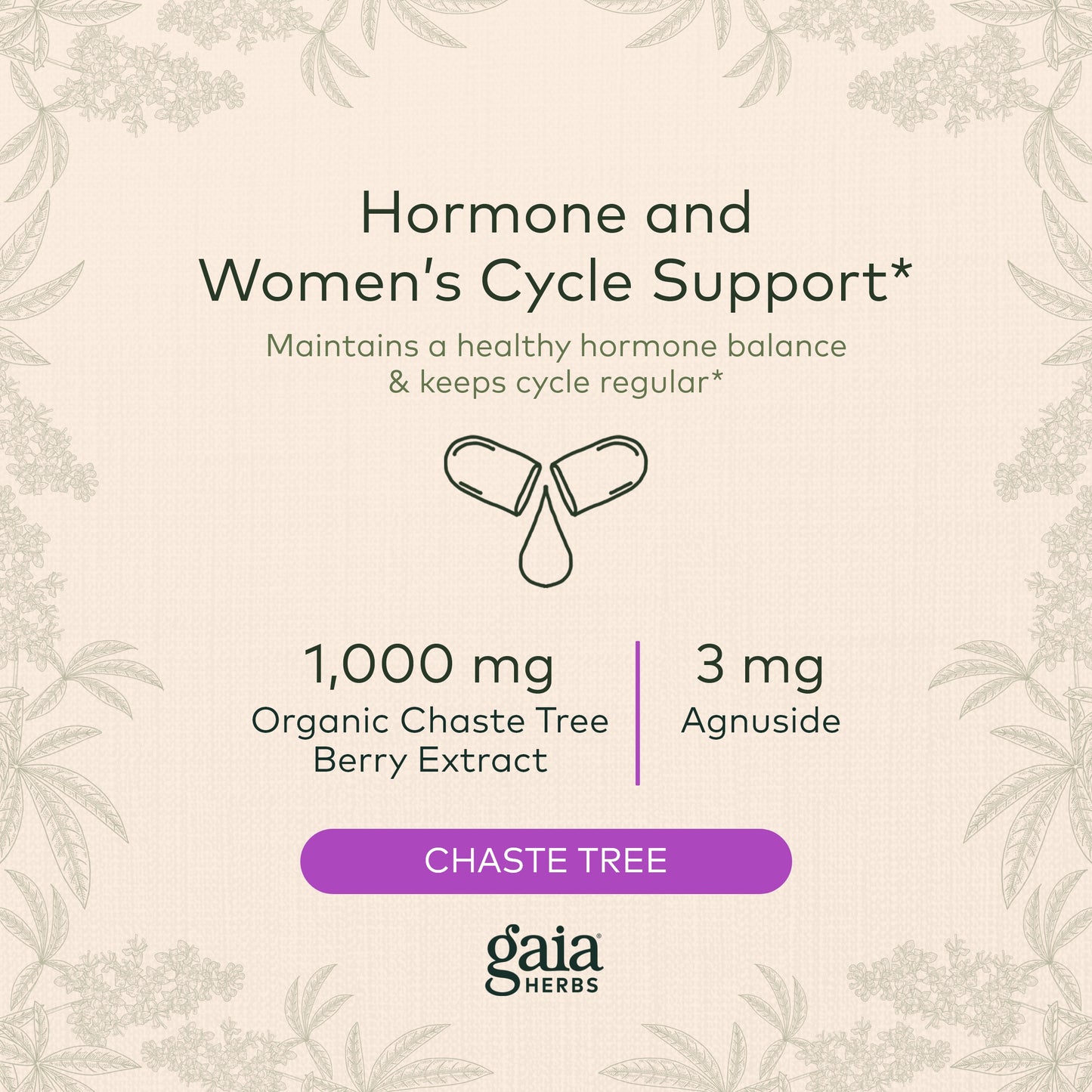 Gaia Herbs Vitex Berry (Chaste Tree) - Supports Hormone Balance & Fertility for Women - Helps Maintain Healthy Progesterone Levels to Support Menstrual Cycle Health - 180 Vegan Caps (90-Day Supply)