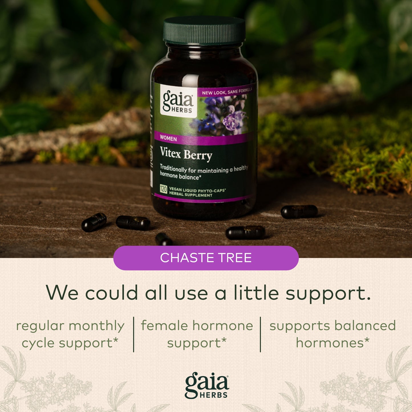 Gaia Herbs Vitex Berry (Chaste Tree) - Supports Hormone Balance & Fertility for Women - Helps Maintain Healthy Progesterone Levels to Support Menstrual Cycle Health - 180 Vegan Caps (90-Day Supply)