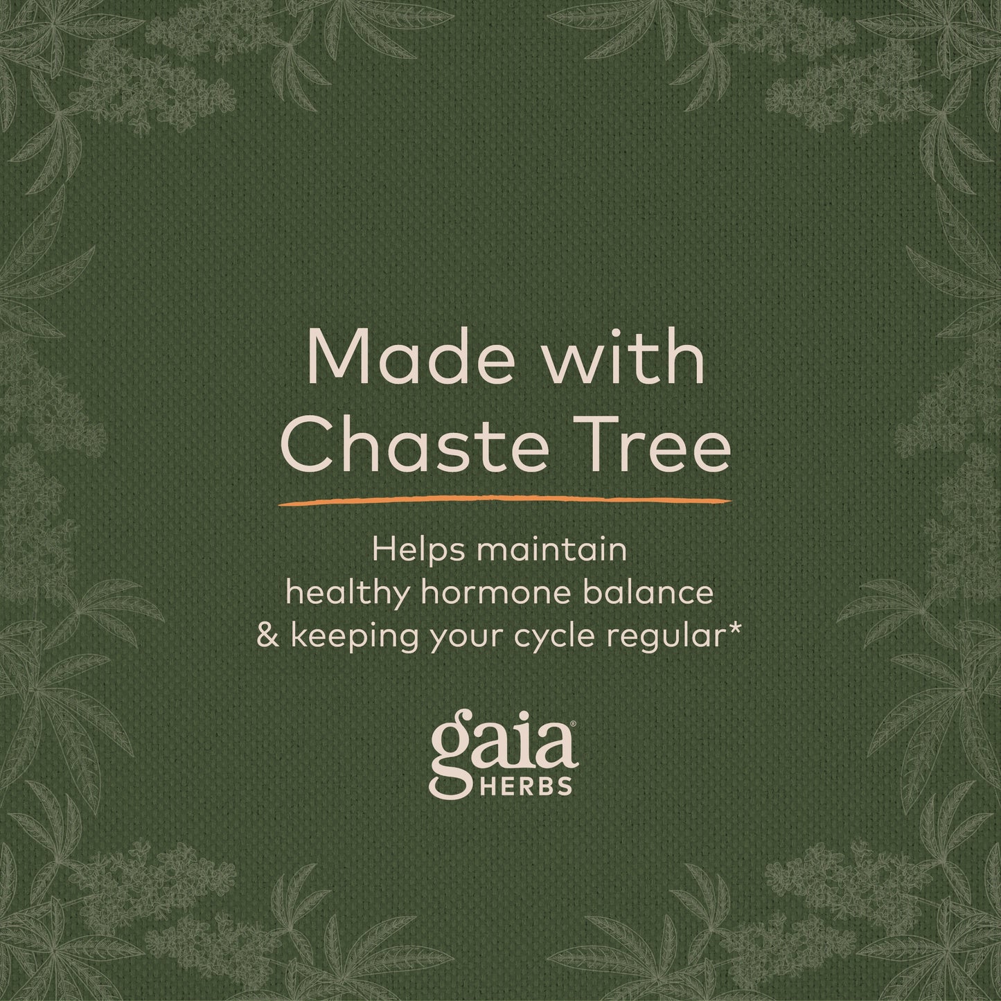 Gaia Herbs Vitex Berry (Chaste Tree) - Supports Hormone Balance & Fertility for Women - Helps Maintain Healthy Progesterone Levels to Support Menstrual Cycle Health - 180 Vegan Caps (90-Day Supply)