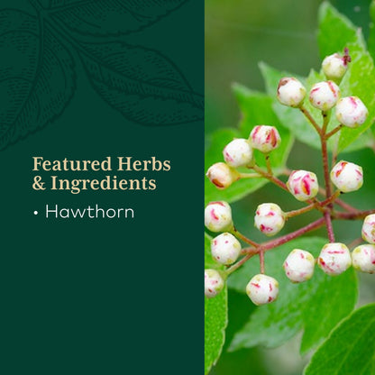Gaia Herbs Hawthorn 60 Capsules