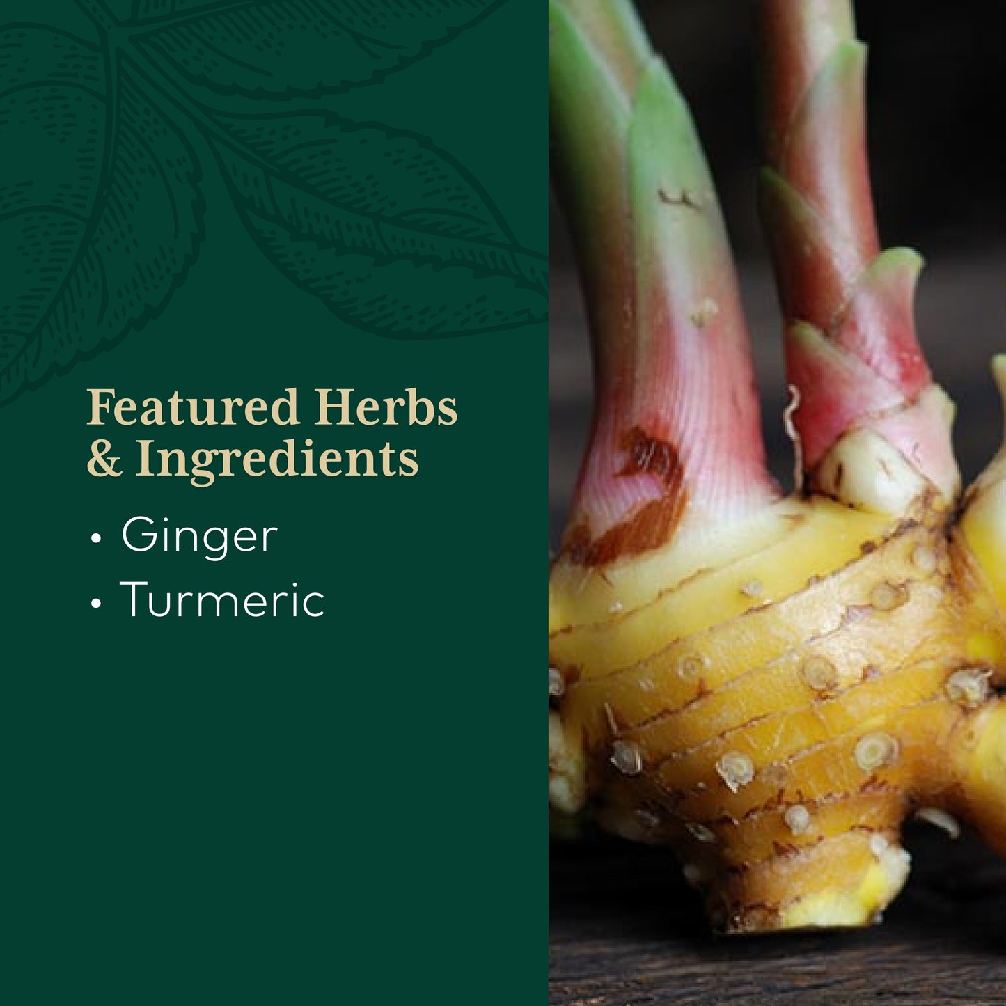 Gaia Herbs - Zingiber-Max with Curcuma Caps 60 lvcaps