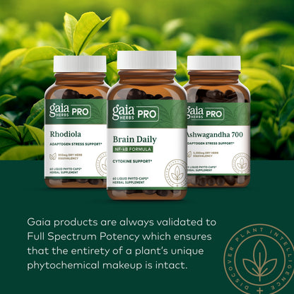 Gaia Herbs - Zingiber-Max with Curcuma Caps 60 lvcaps