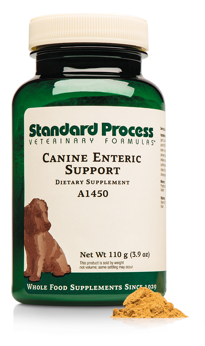 Standard Process - Canine Enteric Support - 110 Grams