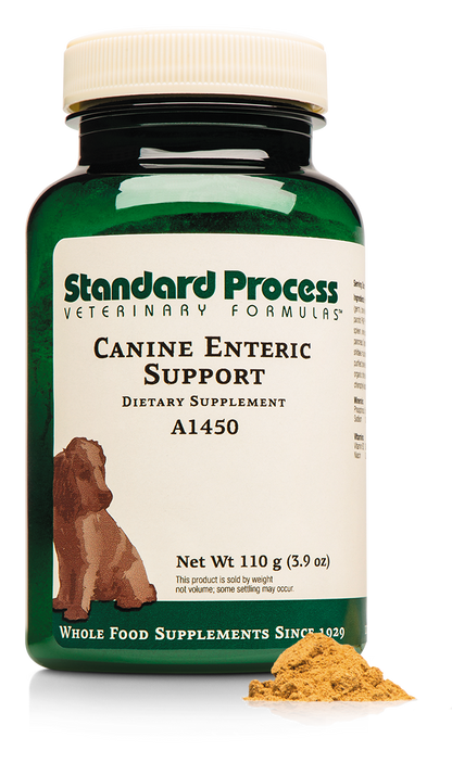 Standard Process - Canine Enteric Support - 110 Grams