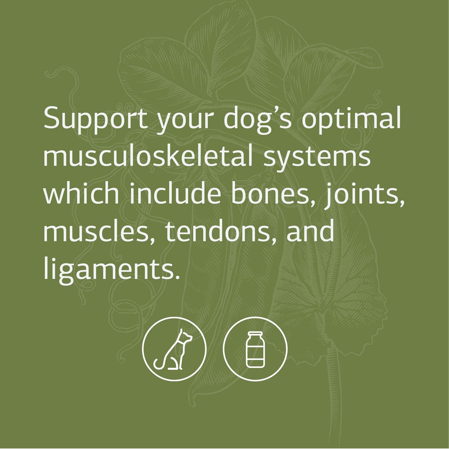 Standard Process - Canine Musculoskeletal Support - 4.2 oz