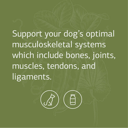 Standard Process - Canine Musculoskeletal Support - 4.2 oz