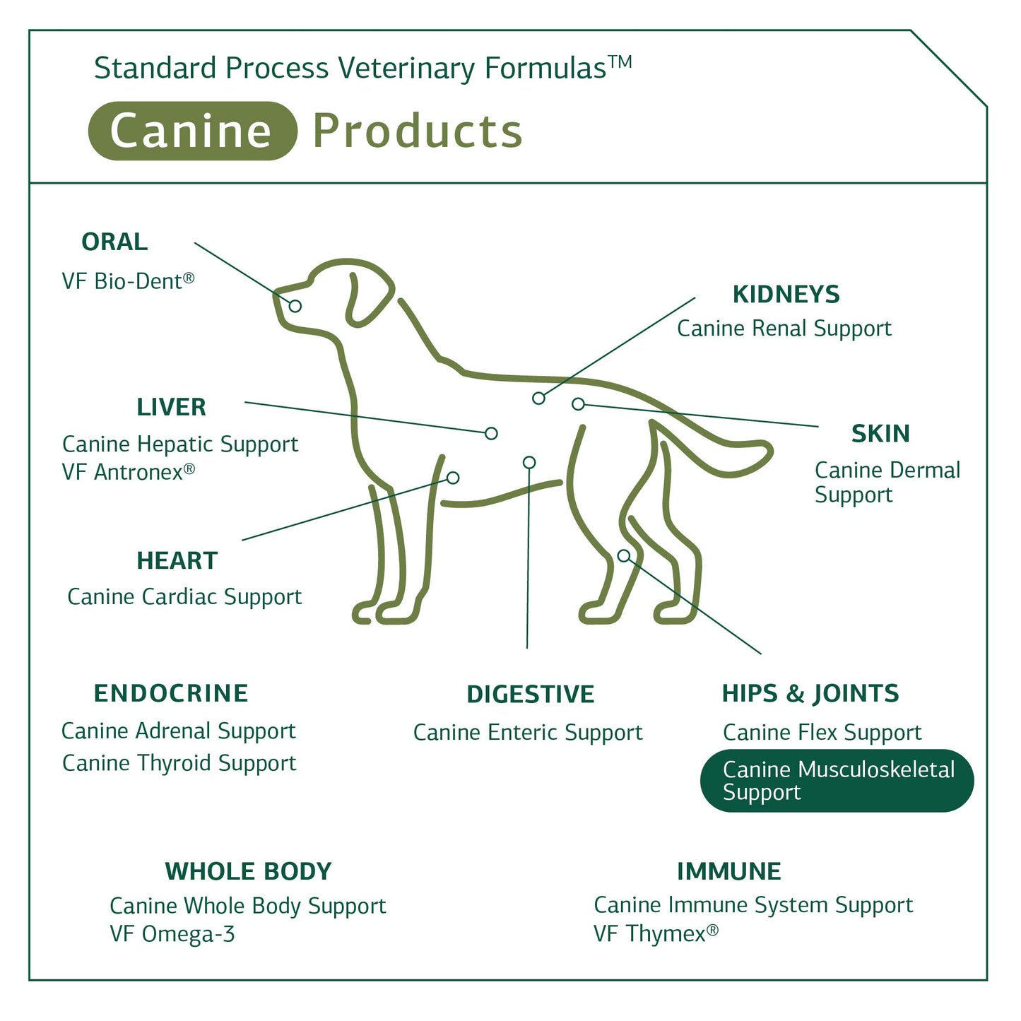 Standard Process - Canine Musculoskeletal Support - 4.2 oz