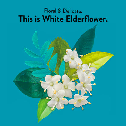 Choice Organics - Organic White Elderflower Tea (6 Pack) - Organic White & Green Tea - 96 Tea Bags