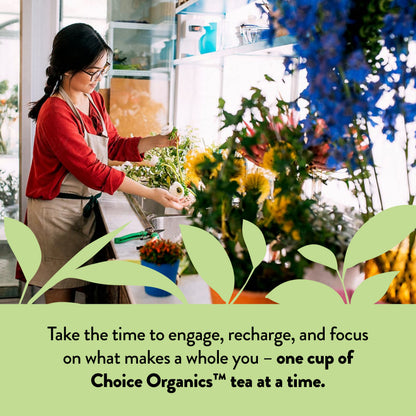 Choice Organics - Organic Mint Sage Tea (6 Pack) - Organic Herbal Tea - 96 Tea Bags