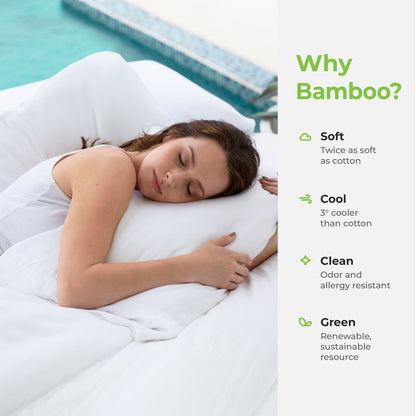 Cariloha Resort Bamboo 4-Piece Bed Sheet Set - Cooling, Odor-Resistant, Eco-Friendly, Hypoallergenic, Soft and Durable - Flat and Fitted Sheets and Two Pillowcases - King - Onyx