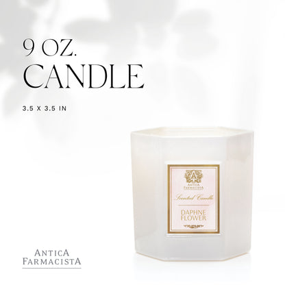 Antica Farmacista Scented Candles, Daphne, 9 Ounce