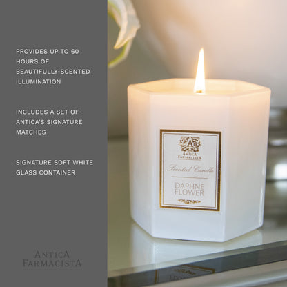 Antica Farmacista Scented Candles, Daphne, 9 Ounce