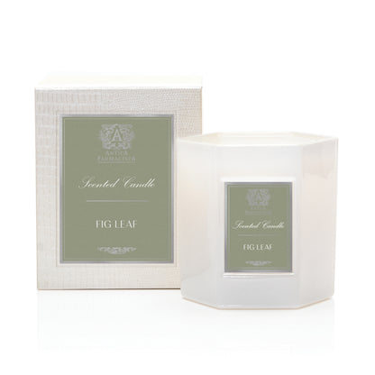 Antica Farmacista Scented Candle, Fig Leaf, 9 Ounce