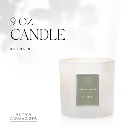 Antica Farmacista Scented Candle, Fig Leaf, 9 Ounce