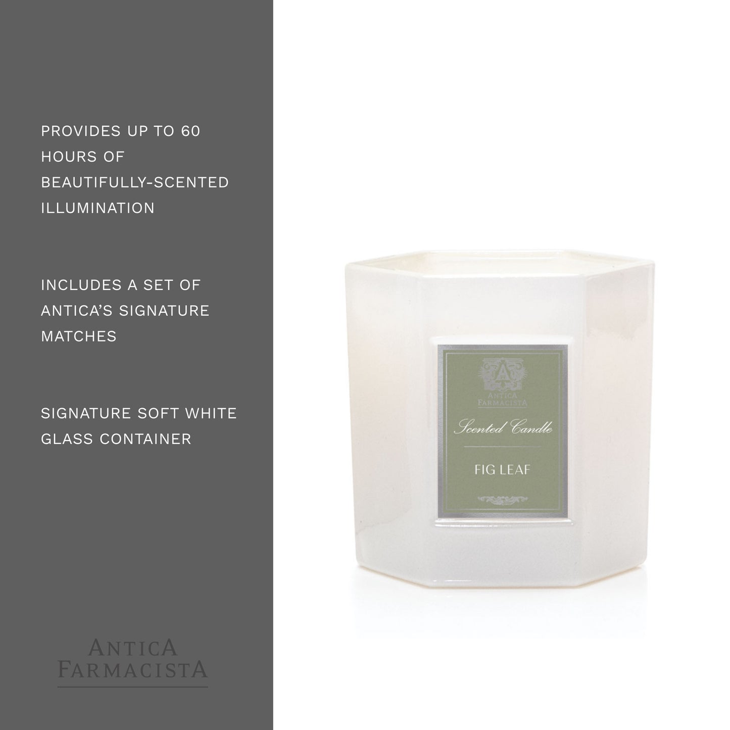 Antica Farmacista Scented Candle, Fig Leaf, 9 Ounce