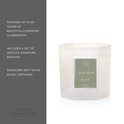 Antica Farmacista Scented Candle, Fig Leaf, 9 Ounce