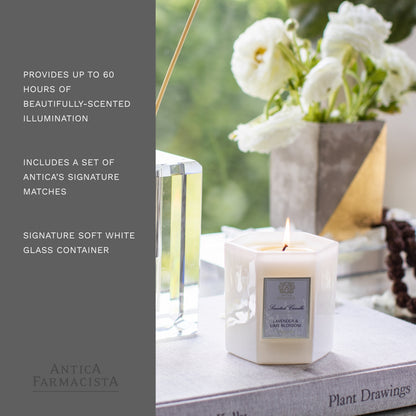 Antica Farmacista Scented Candle, Lavender & Lime Blossom, 9 Ounce