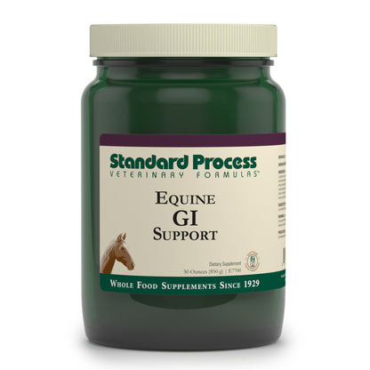 Standard Process Equine GI Support - Whole Food Horse Supplies for Digestive Health and Liver Support with Magnesium Citrate, Buckwheat, Sunflower Lecithin, Kale, Inulin, Brussels Sprouts - 30 Ounce