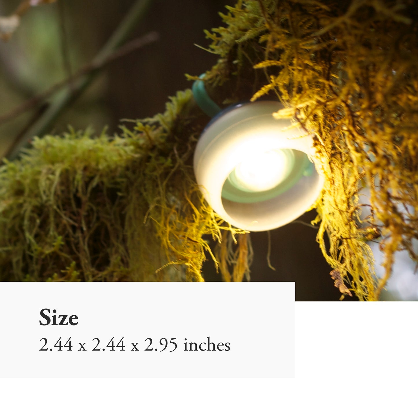 Snow Peak Hozuki Lantern - Battery-Powered Light for Desk & Camp Table with Hanging Hook - 5.8 oz - Snow