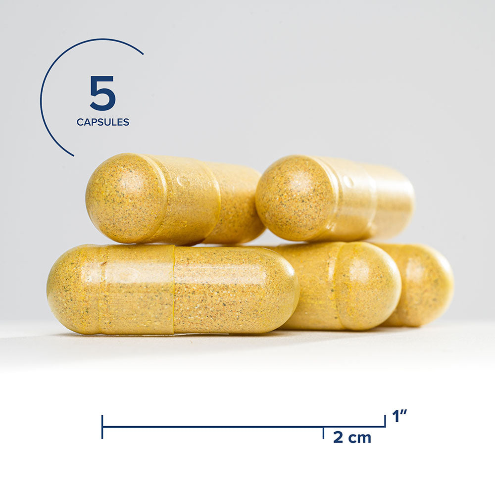 Seeking Health Optimal GI, Digestive and Gastrointestinal Support, Glutamine-Free Supplement, Vegan and Vegetarian (150 capsules)*