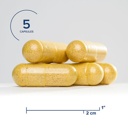 Seeking Health Optimal GI, Digestive and Gastrointestinal Support, Glutamine-Free Supplement, Vegan and Vegetarian (150 capsules)*