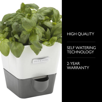 Cole & Mason Self-Watering Potted Herb Keeper