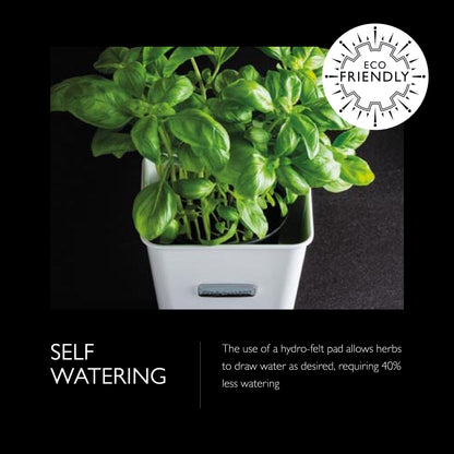 Cole & Mason Self-Watering Potted Herb Keeper