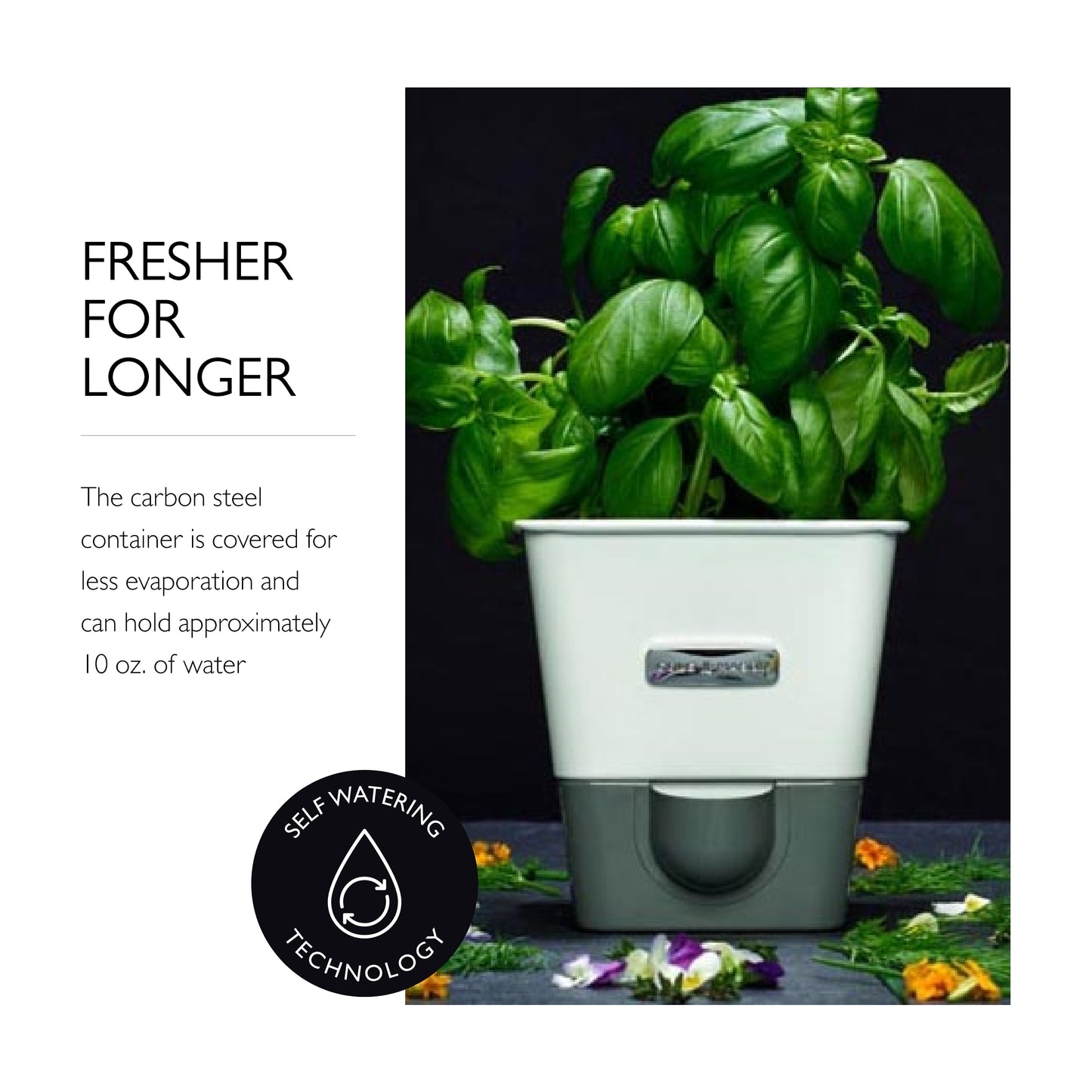 Cole & Mason Self-Watering Potted Herb Keeper