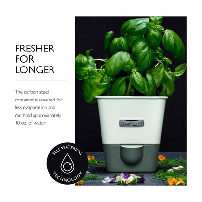 Cole & Mason Self-Watering Potted Herb Keeper