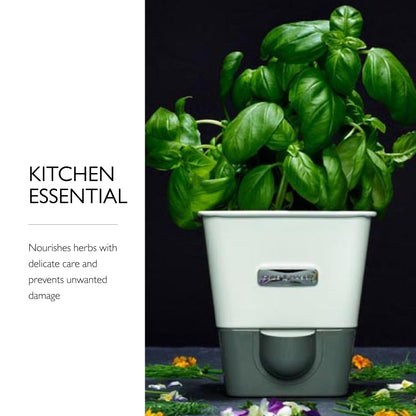 Cole & Mason Self-Watering Potted Herb Keeper