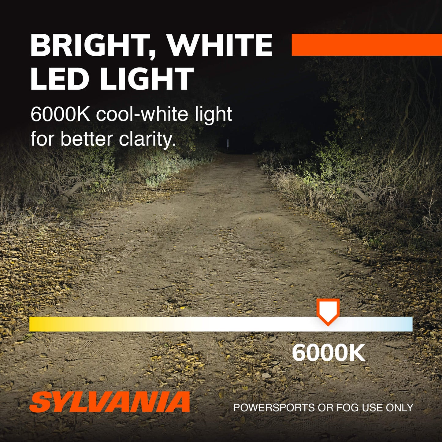 Sylvania H1 LED Powersport Headlight Bulbs for Off-Road Use or Fog Lights - 2 Pack