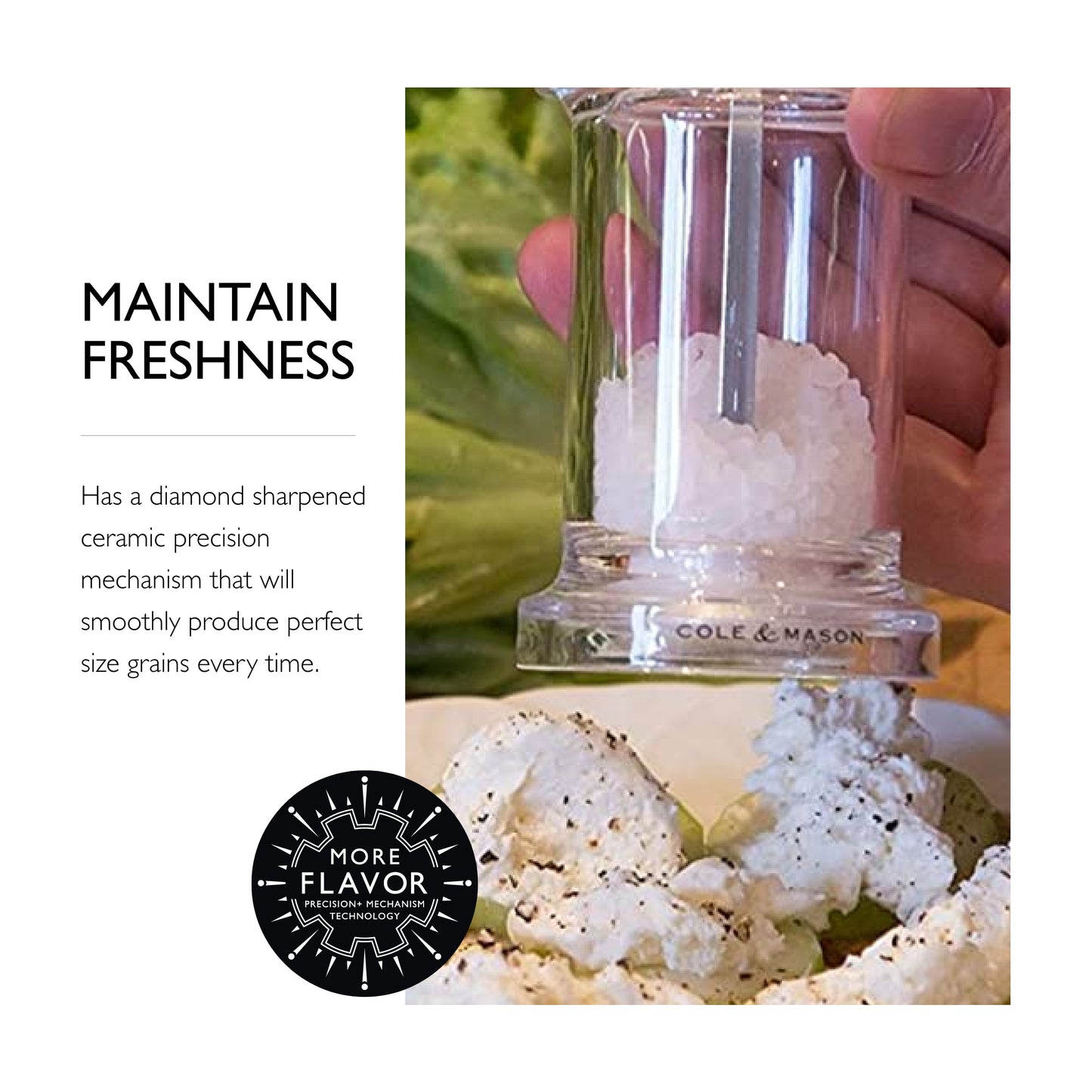 COLE & MASON 505 Salt Grinder - Clear Acrylic Mill Includes Precision Mechanism and Premium Sea Salt