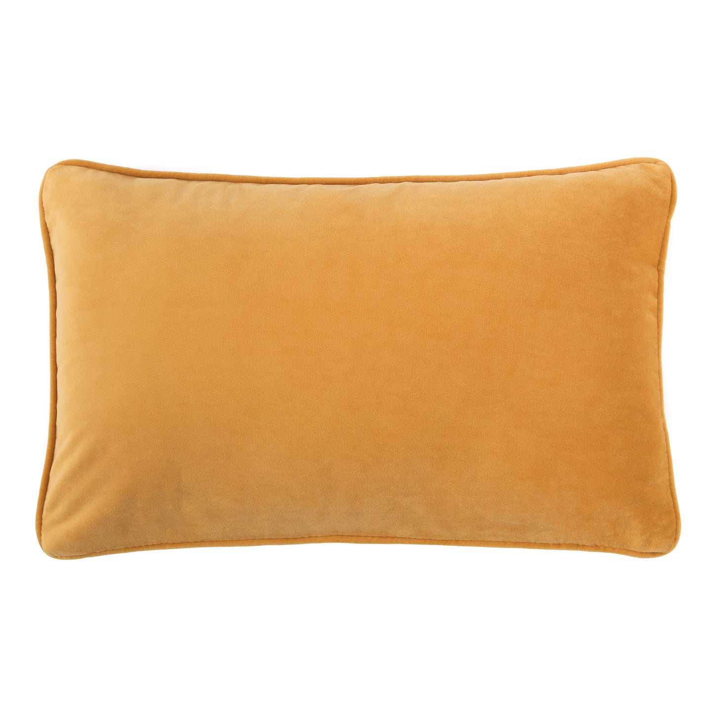 Chanasya Ultra Soft Velvet Lumbar Throw Pillow Cover - Bright and Colorful Super Soft Modern Decorative Home Decor for Sofa, Chair, and Bed (12x20 Inches) Golden