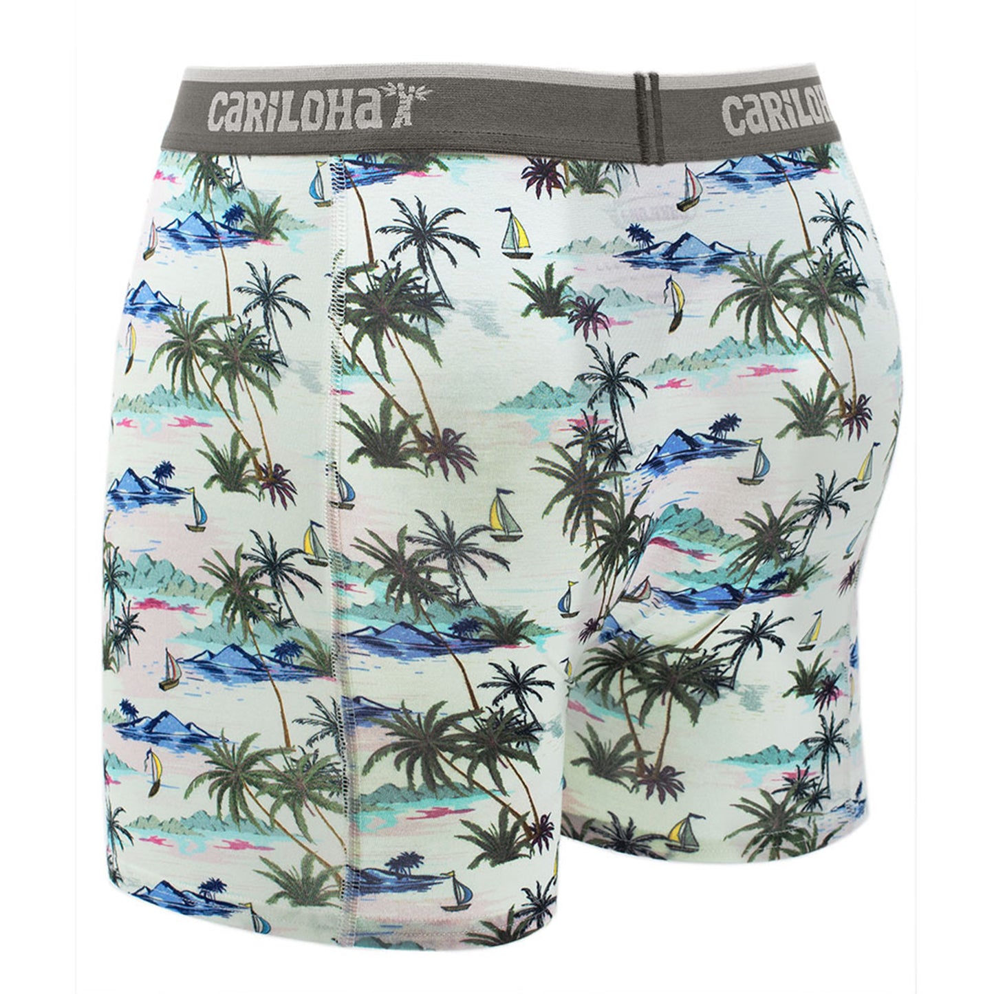 Cariloha Men's Bamboo Boxer Briefs - Breathable Underwear for Men - Large - Vintage Beach