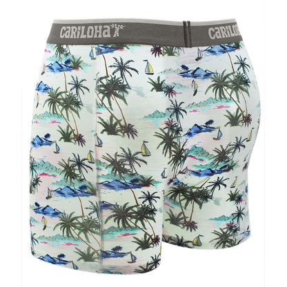 Cariloha Men's Bamboo Boxer Briefs - Breathable Underwear for Men - Large - Vintage Beach