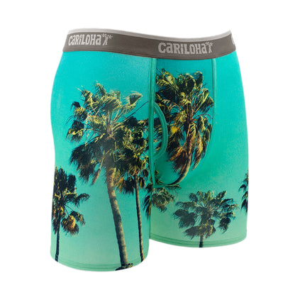 Cariloha Men's Bamboo Boxer Briefs - Breathable Underwear for Men - X-Large - Sky Palm