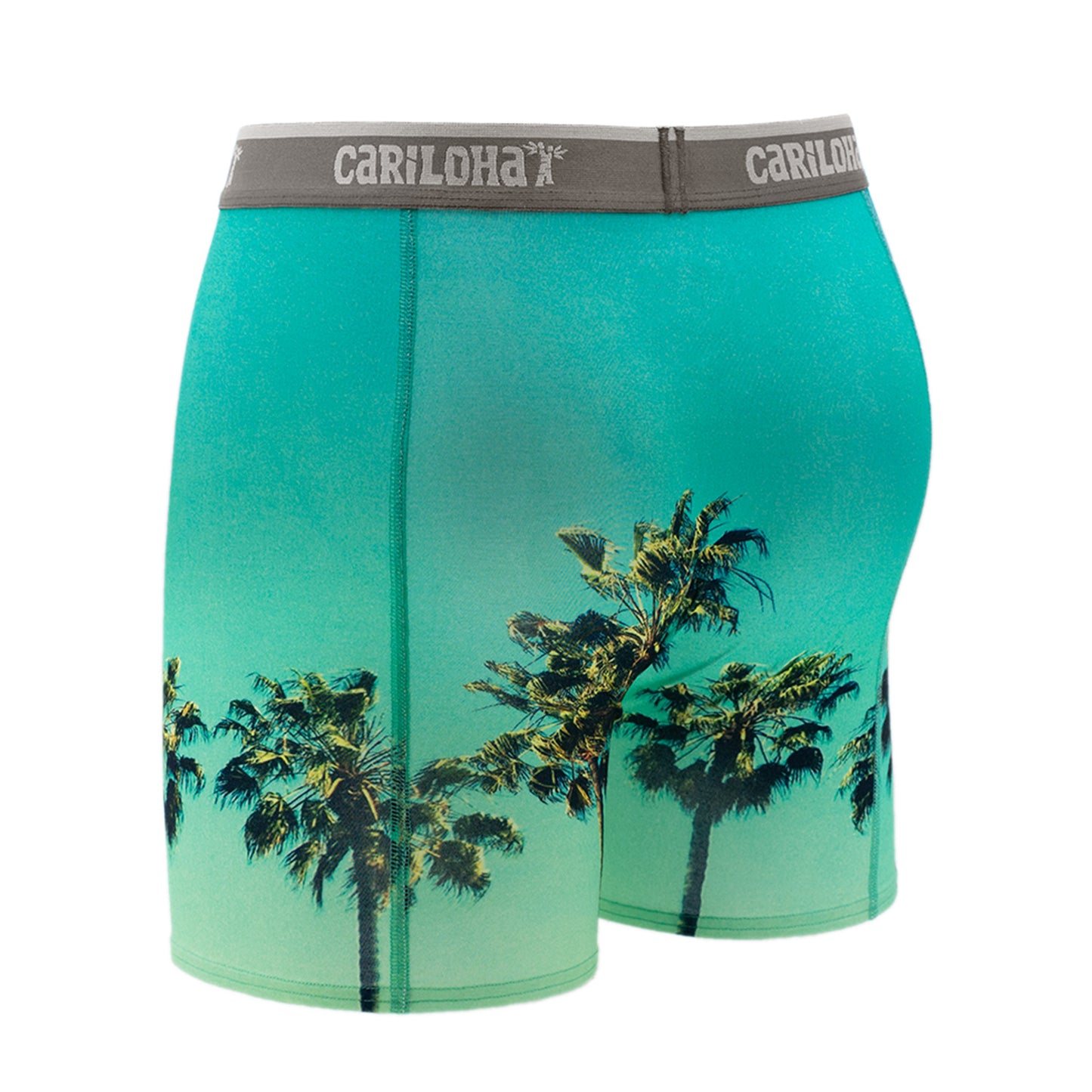 Cariloha Men's Bamboo Boxer Briefs - Breathable Underwear for Men - X-Large - Sky Palm